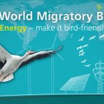 World Migratory Bird Day